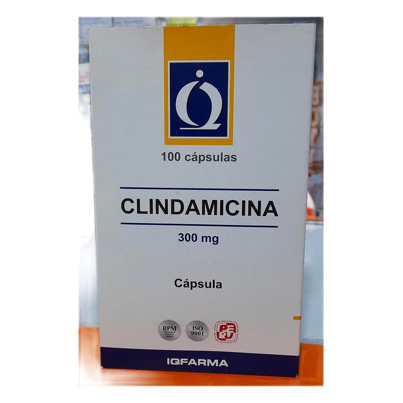 CLINDAMICINA 300MG